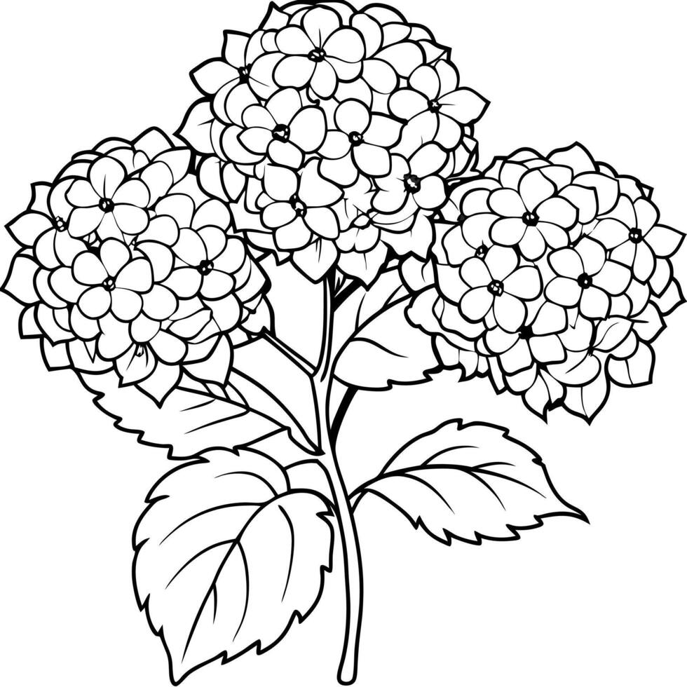 Plants with flower coloring pages. Flower outline vector