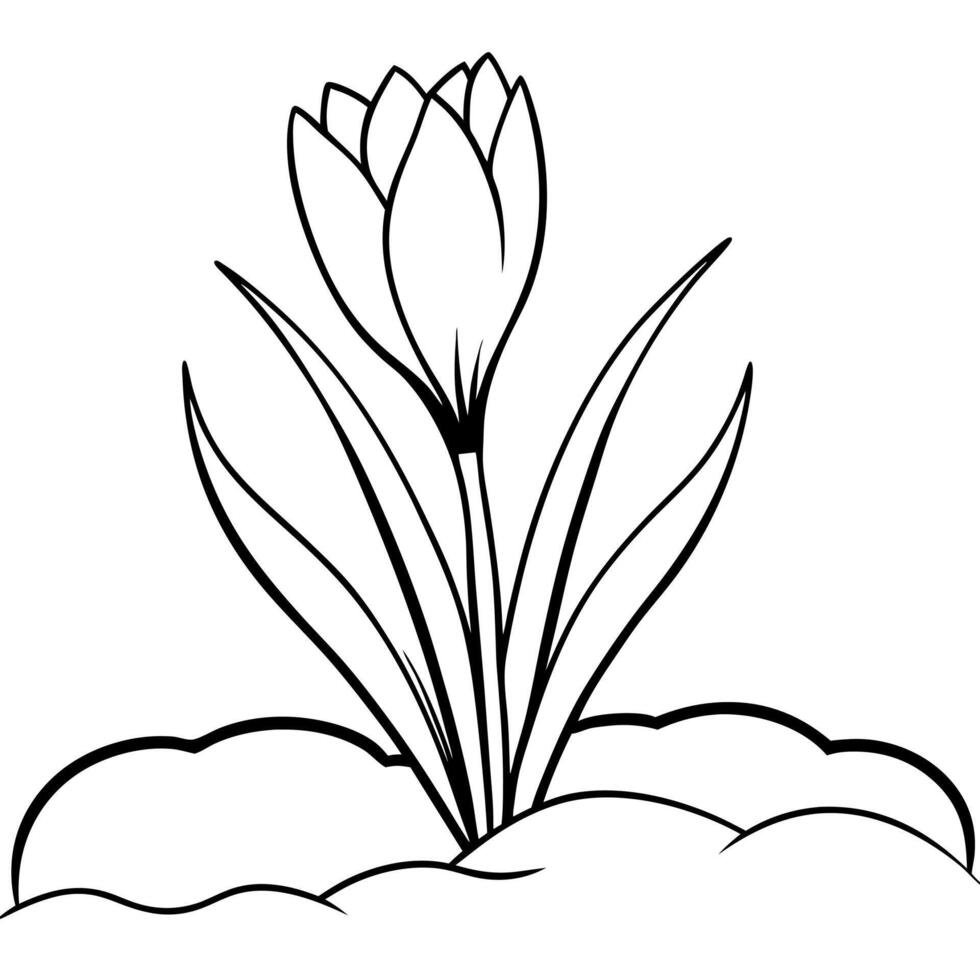 Plants with flower coloring pages. Flower outline vector