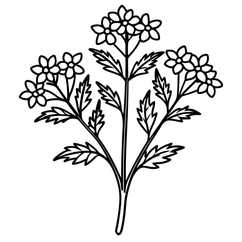 Plants with flower coloring pages. Flower outline vector