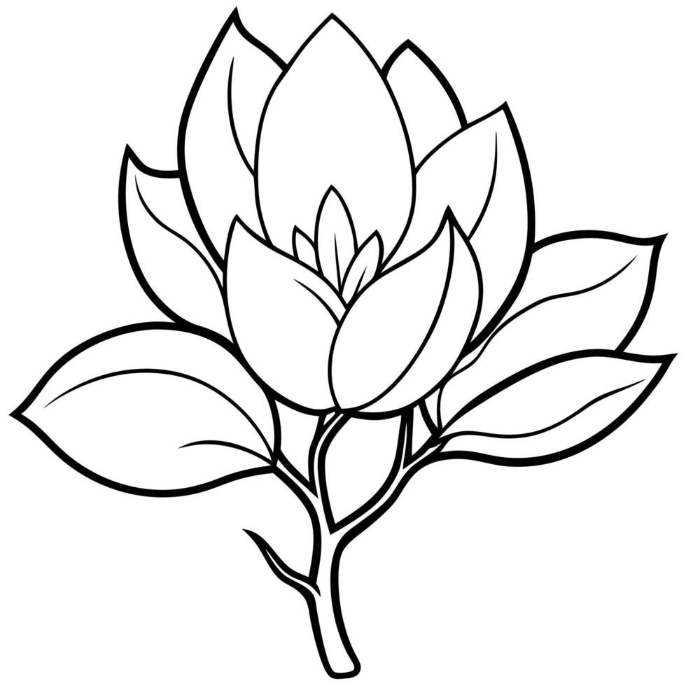 Plants with flower coloring pages. Flower outline vector