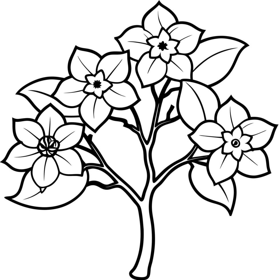 Plants with flower coloring pages. Flower outline vector