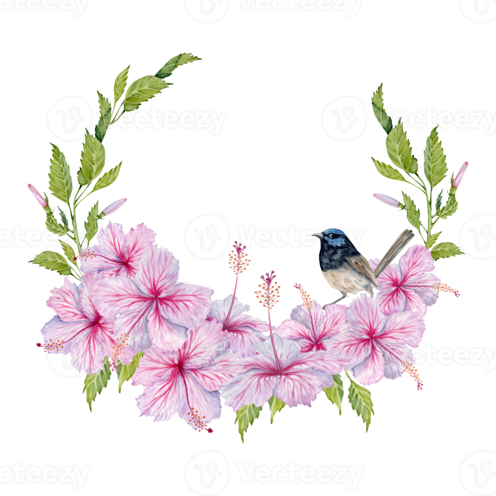 Pink Hibiscus Flowers with green leaves and a bird wreath. Hand drawn watercolor illustration isolated on transparent background. Copy space design with cute fairy wren on vintage botanical branch png