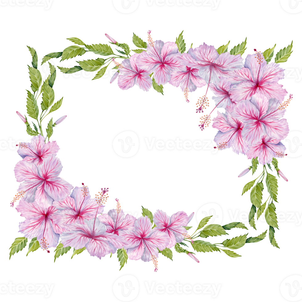 Pink Hibiscus Flowers with green leaves frame composition. Watercolor illustration isolated on transparent background. Copy space floral wedding invitations design with realistic botanical branches png