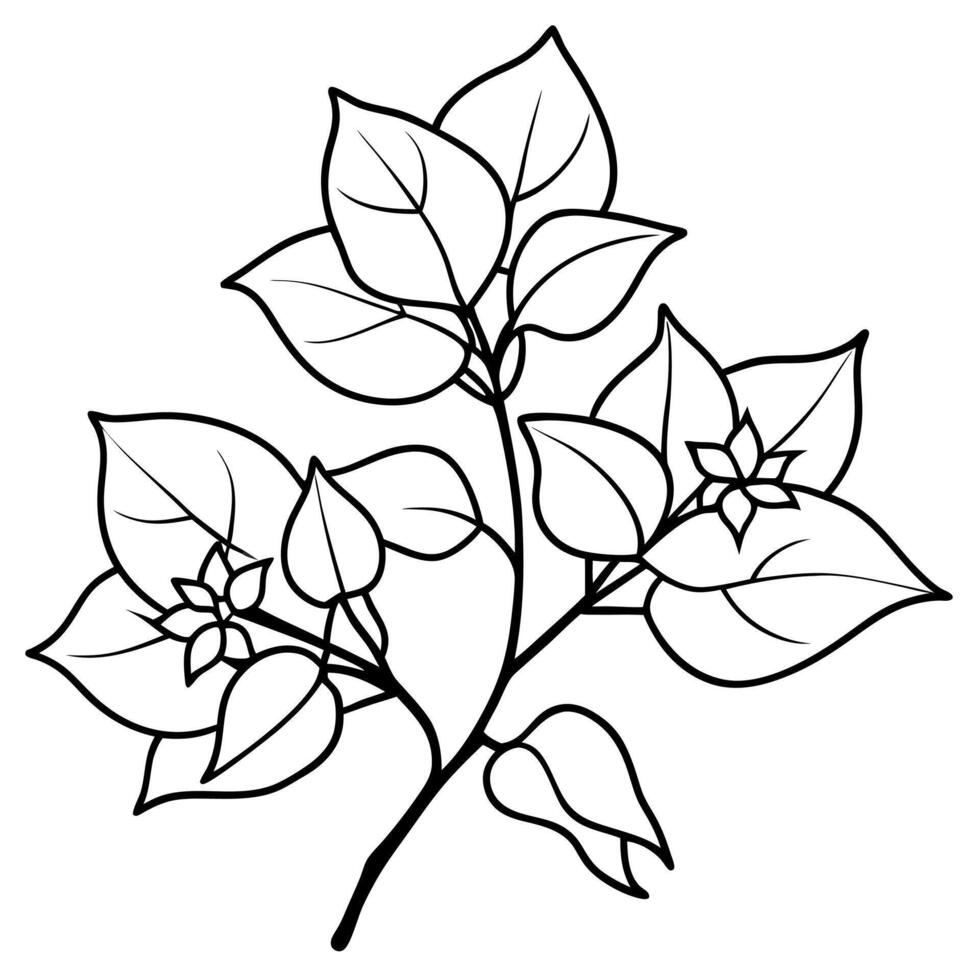 Plants with flower coloring pages. Flower outline vector