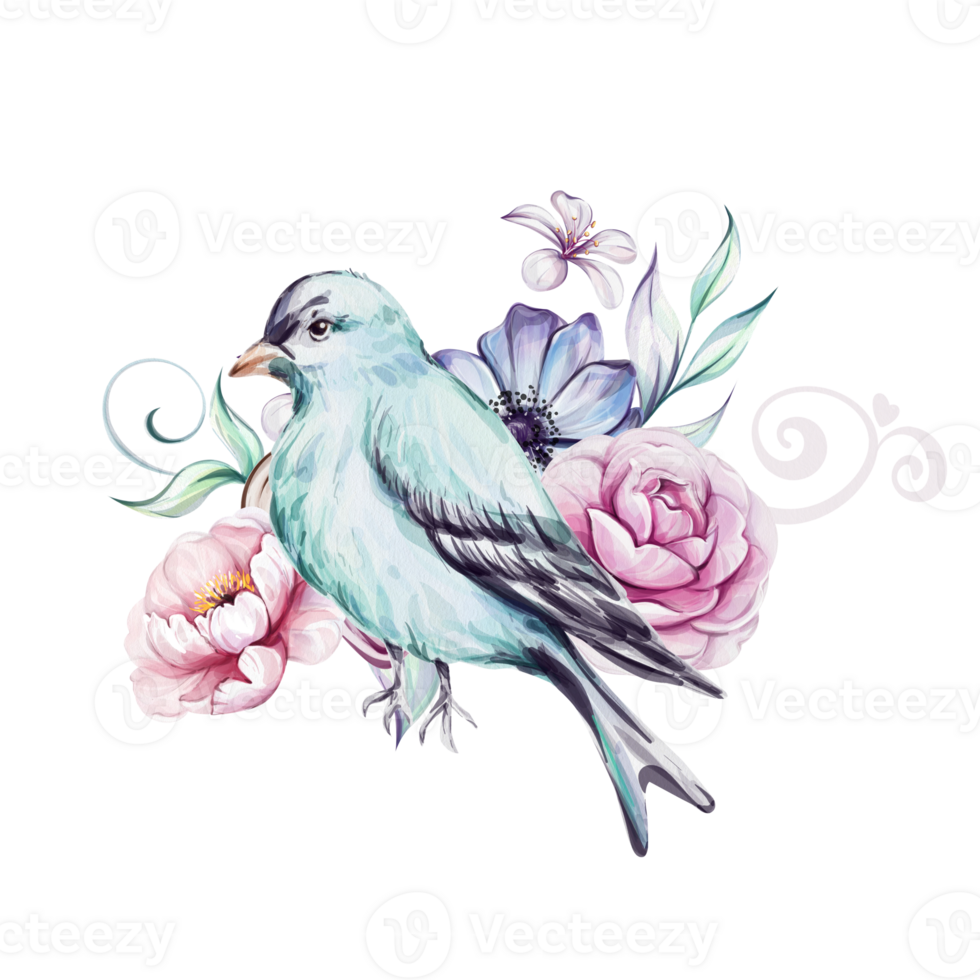 Watercolor blue victorian beard, springtime composition, pink roses, flower, brunch and leaves. Romantic peony. Isolated. For greeting cards, wedding, fabric, printing png