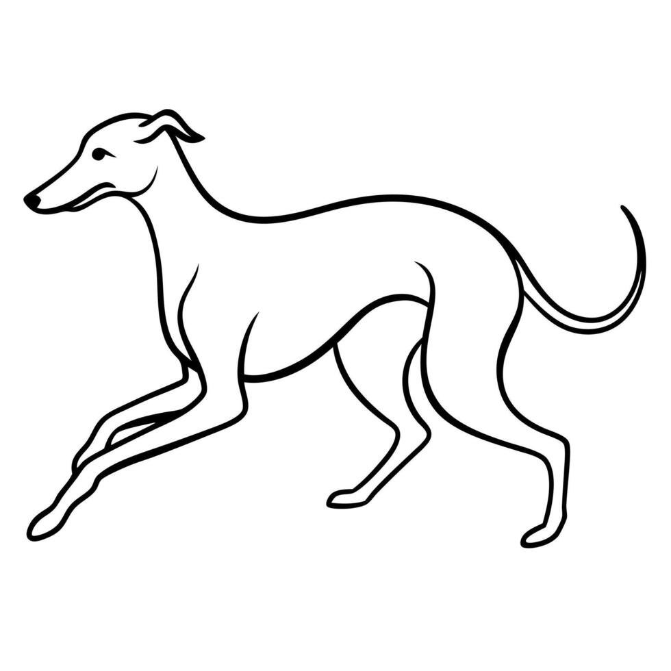 Dog breeds coloring pages vector