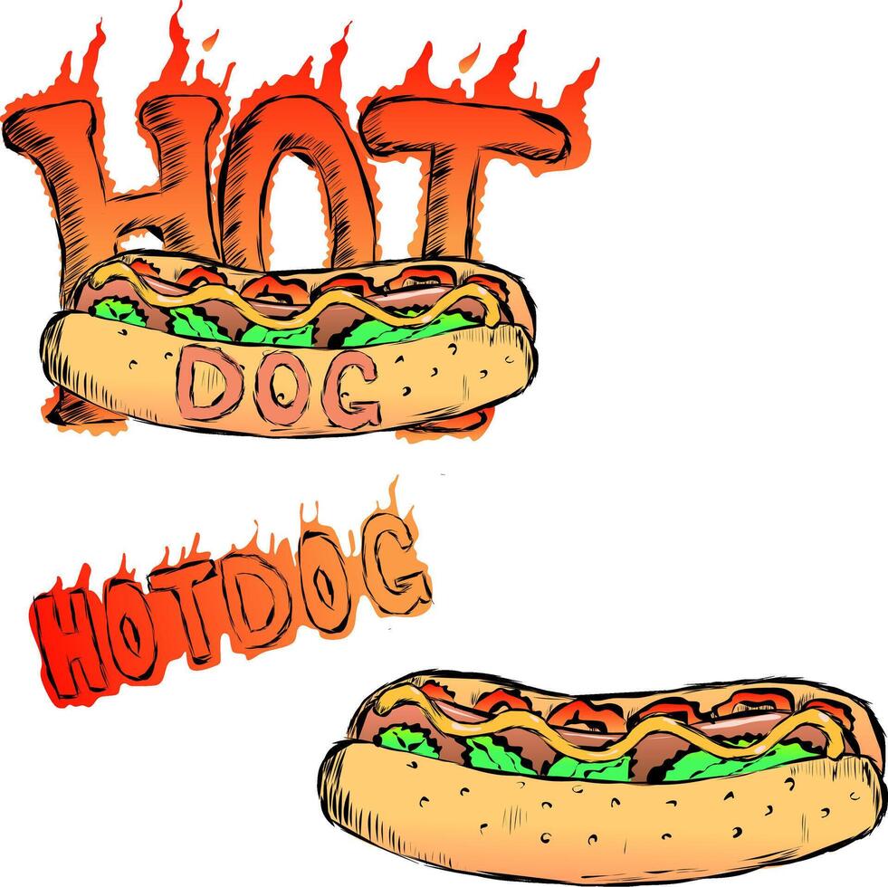 A hot dog with the word Hot Dog and a fire effect. Beautiful hot dog with sesame seeds lettuce peppers or tomatoes and mustard. illustration vector