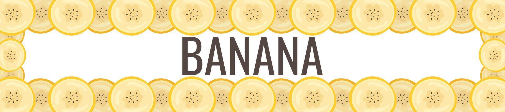 Pieces of banana slice snack. Topical resh banana slice cut fruit. National Banana Day vector