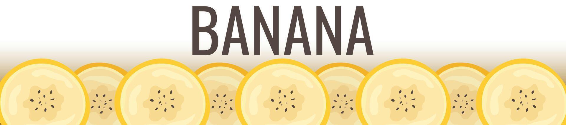 Pieces of banana slice snack. Topical resh banana slice cut fruit. National Banana Day vector