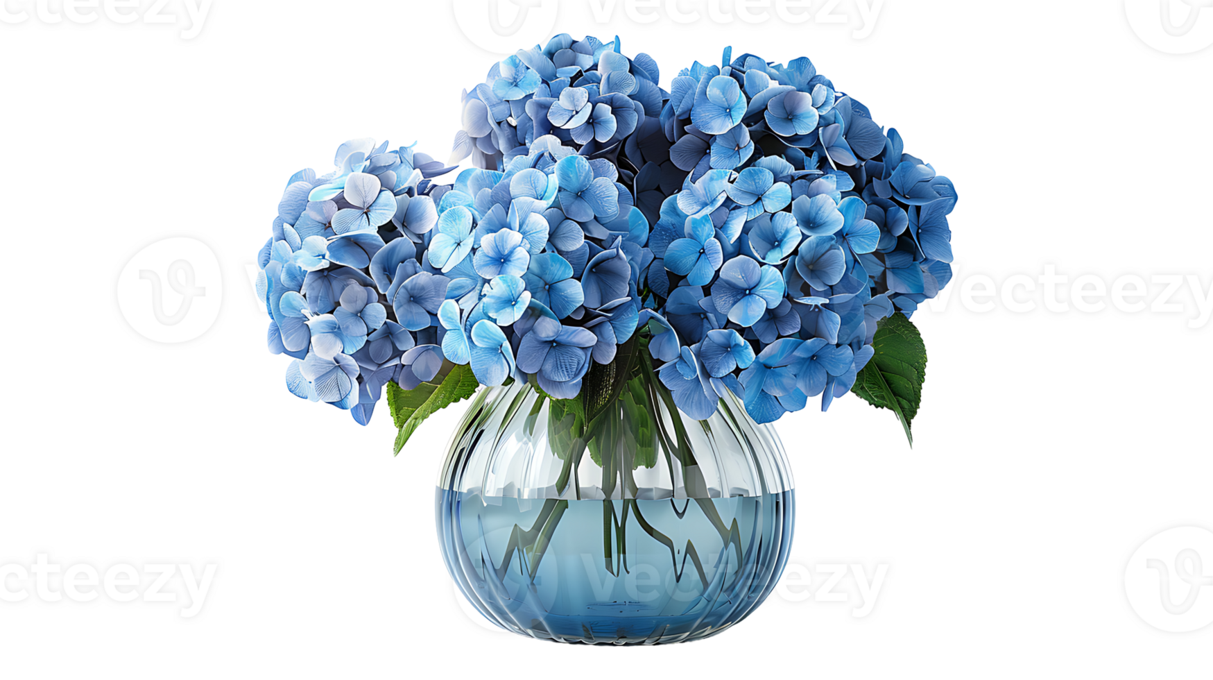 hydrangeas flowers in a glass vase on a transparent background png