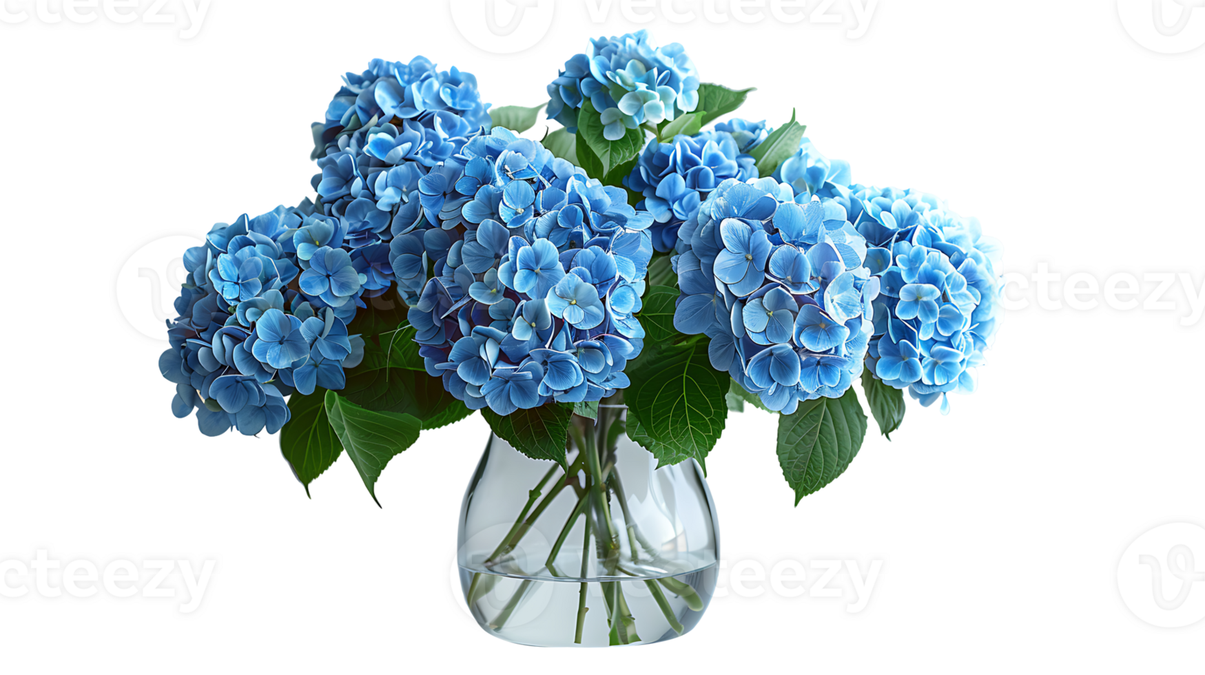 hydrangeas flowers in a glass vase on a transparent background png