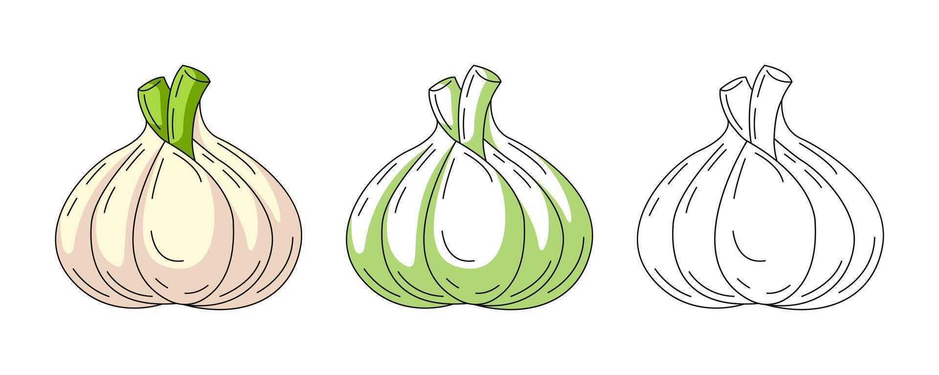 Garlic, colorful and line icons set. Farm vegetable outline icon, monochrome and color illustration. Healthy nutrition, organic food, natural product. For sticker, logo, coloring book vector