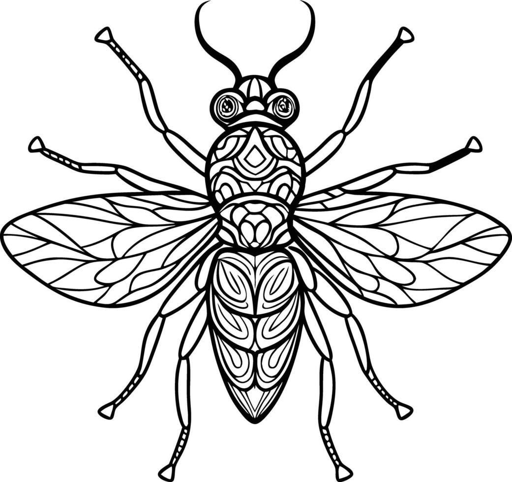 animal mandala coloring pages for stress relief vector