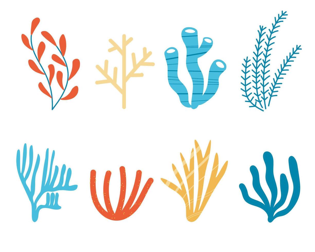Set with different corals, algae and seaweed hand drawn illustration on isolated background, marine motif. Deep sea creatures, ocean flora, fauna, summer time. Underwater biodiversity vector