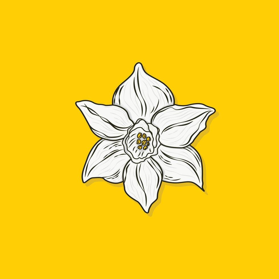 Daffodil flower design on yellow background vector