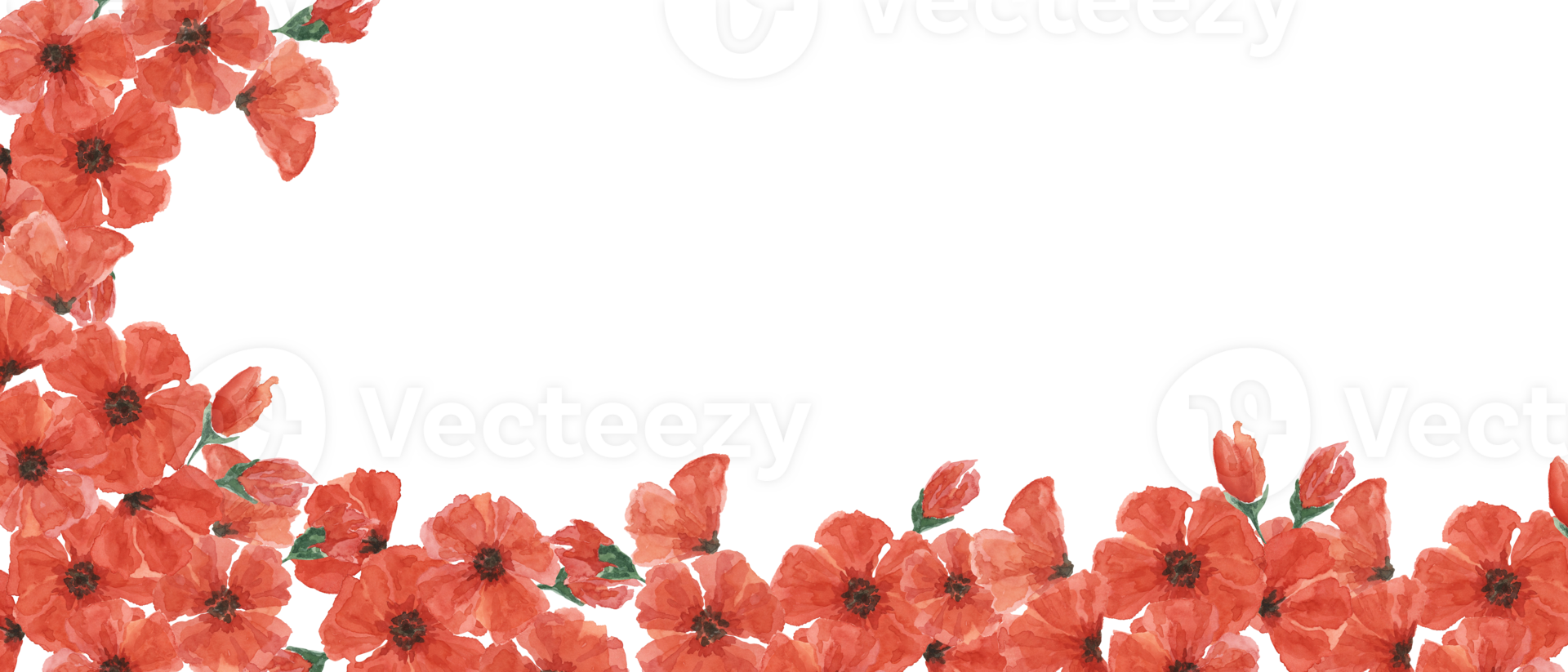 Red poppies web template banner. Poppy day flower compositions. Hand drawn watercolor illustration for card, design, commemorative events, US memorial day, Anzac day, flyers, banners, sale png