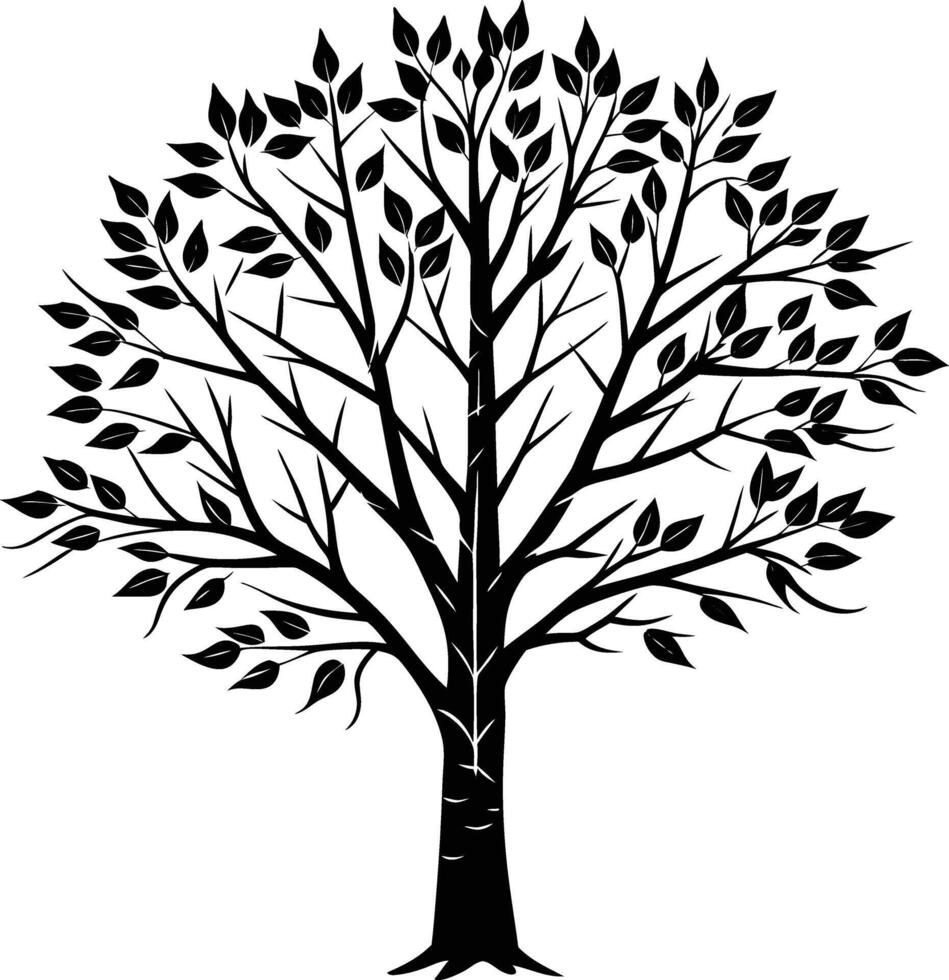 A black and white birch Tree Silhouette with leaves vector