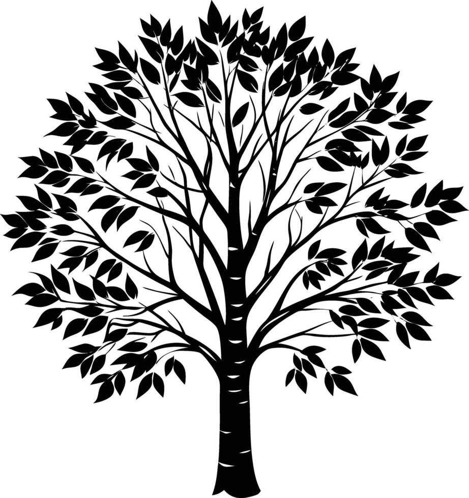A black and white birch Tree Silhouette with leaves vector