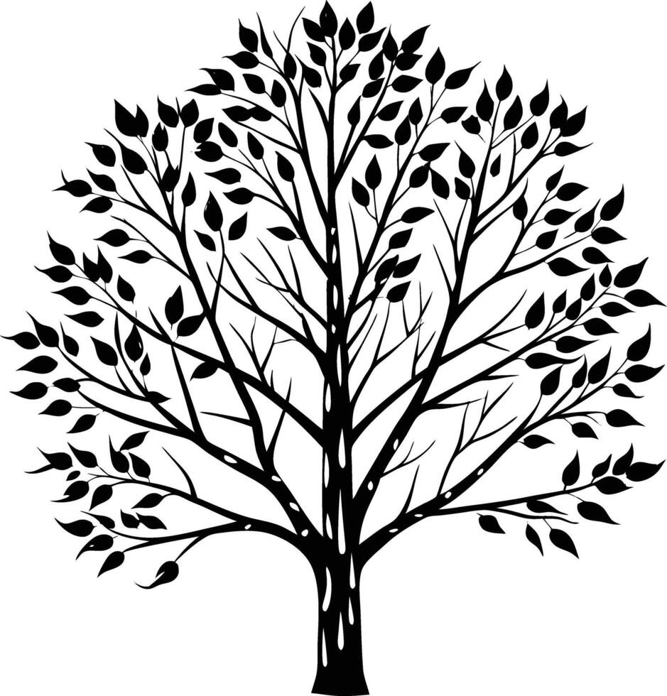 A black and white birch Tree Silhouette with leaves vector