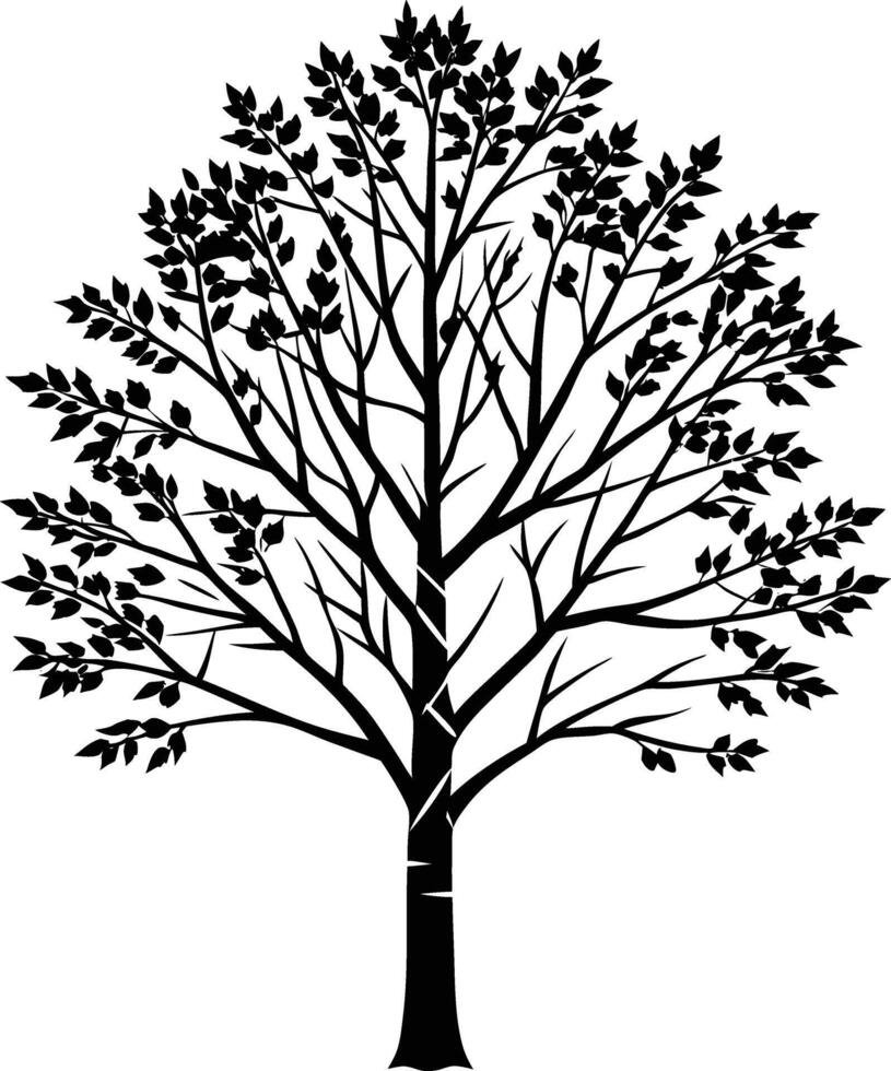 A black and white birch Tree Silhouette with leaves vector