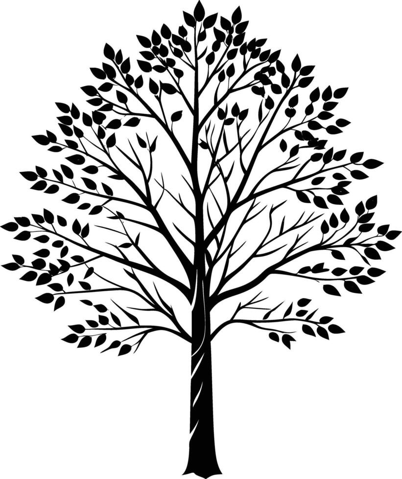 A black and white birch Tree Silhouette with leaves vector