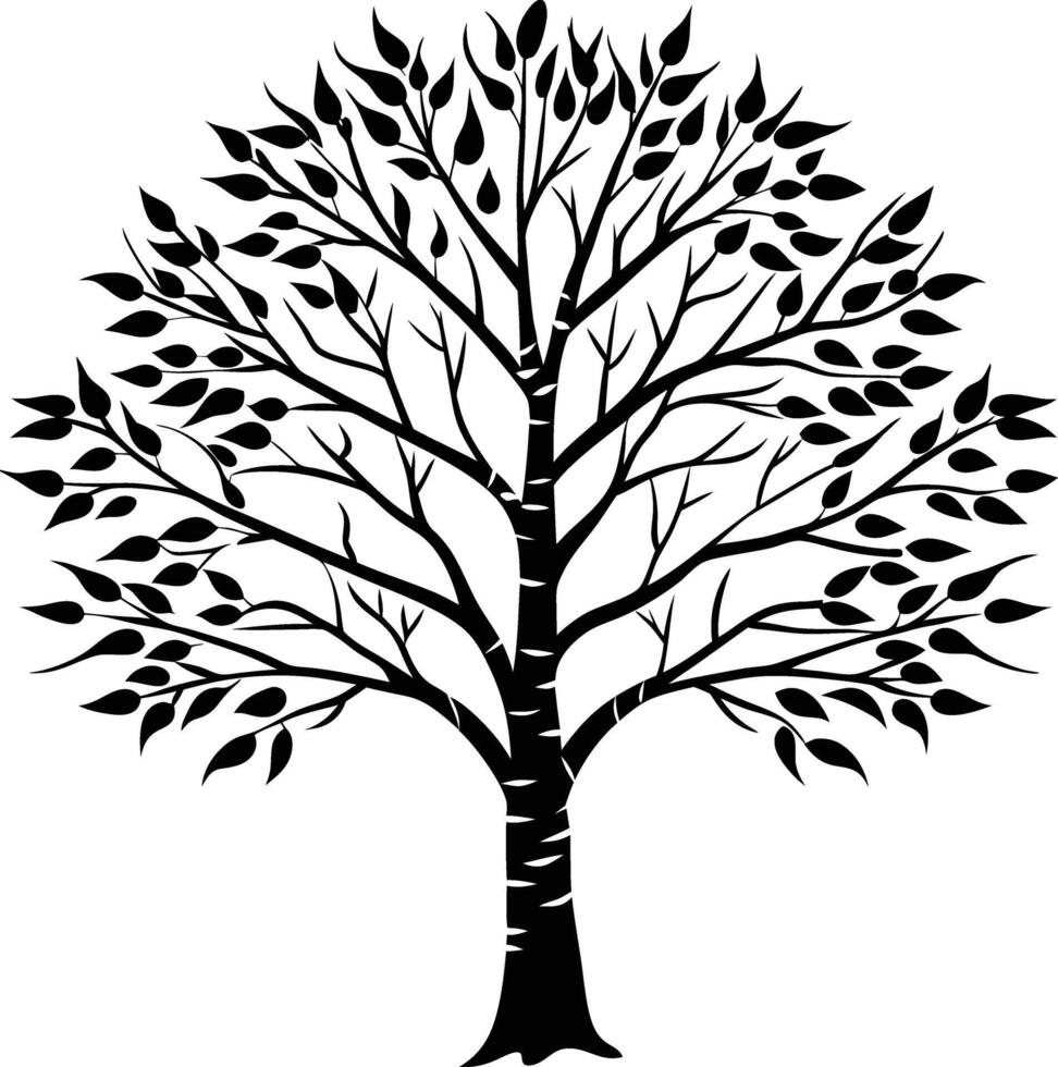 A black and white birch Tree Silhouette with leaves vector