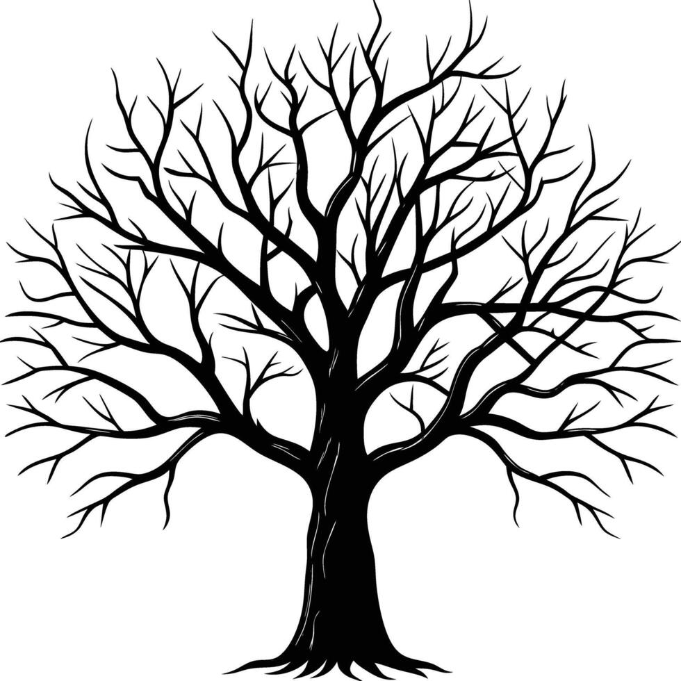 A black and white bare tree silhouette with no leaves vector