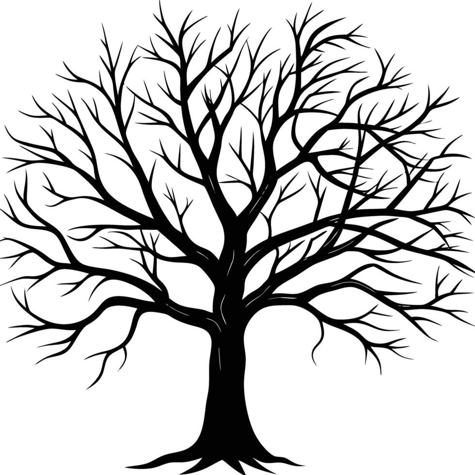A black and white bare tree silhouette with no leaves vector