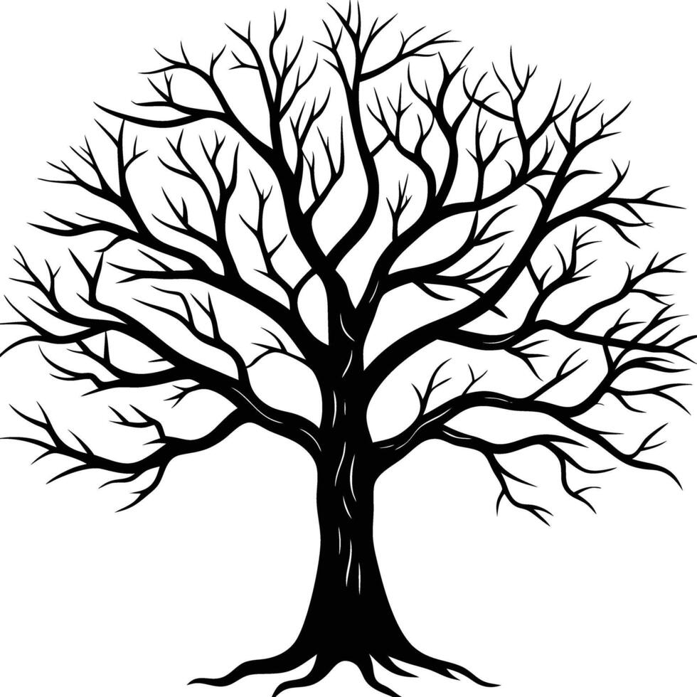 A black and white bare tree silhouette with no leaves vector