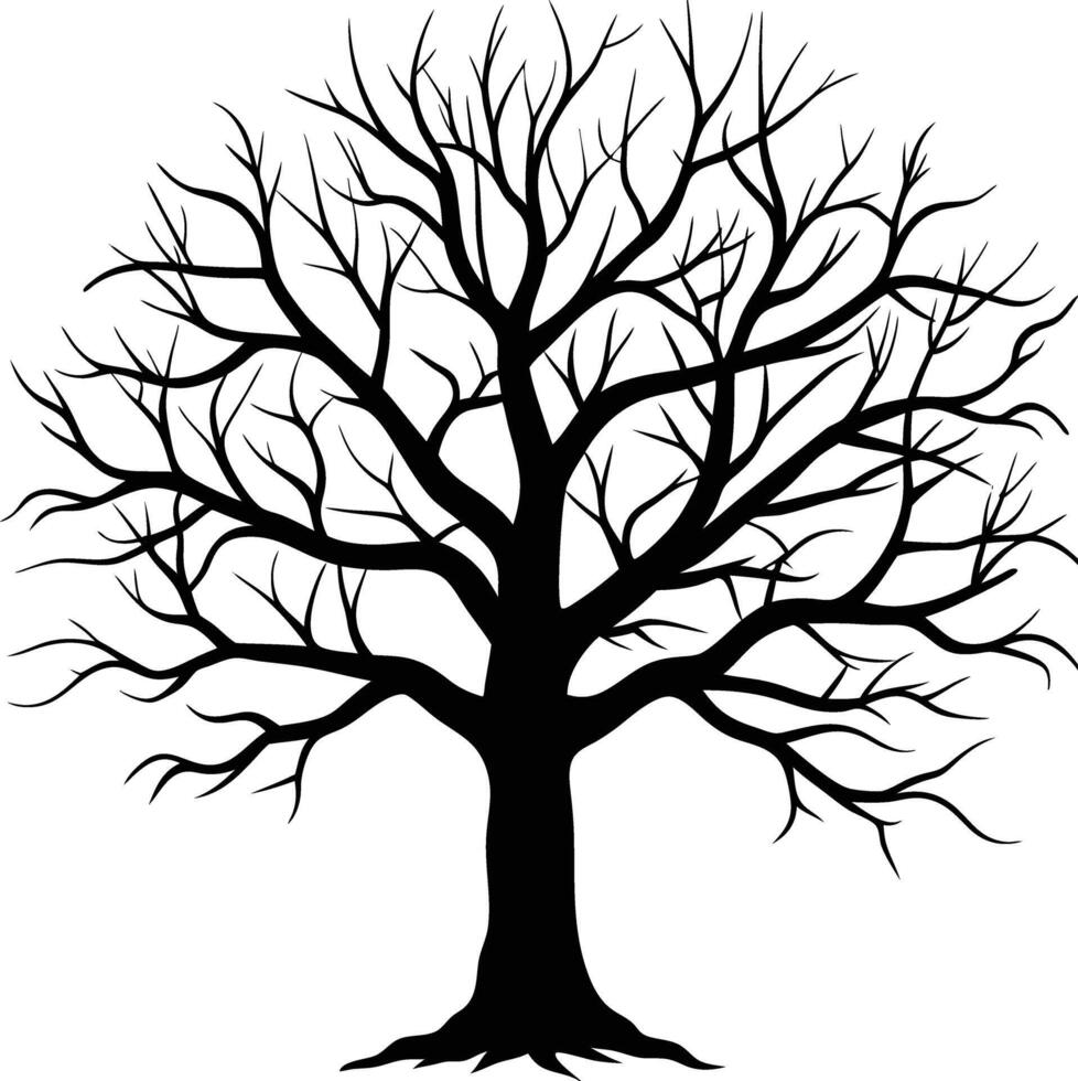 A black and white bare tree silhouette with no leaves vector