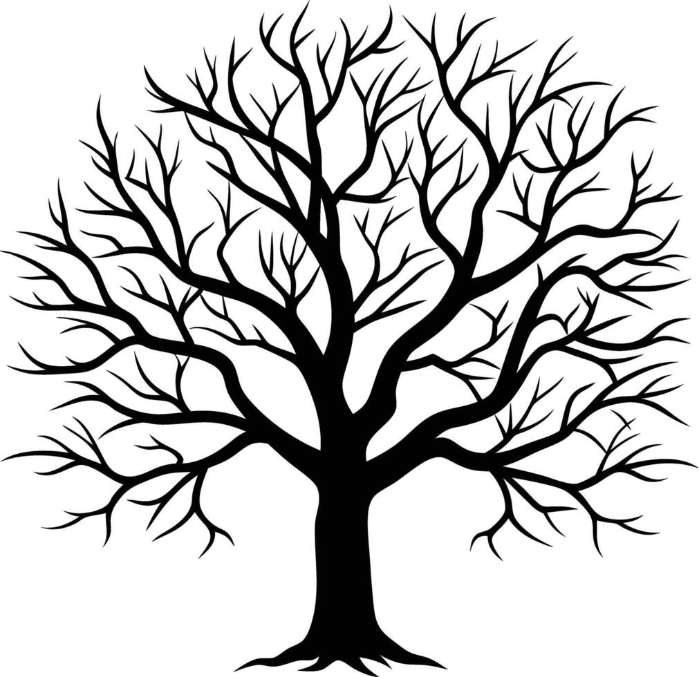 A black and white bare tree silhouette with no leaves vector