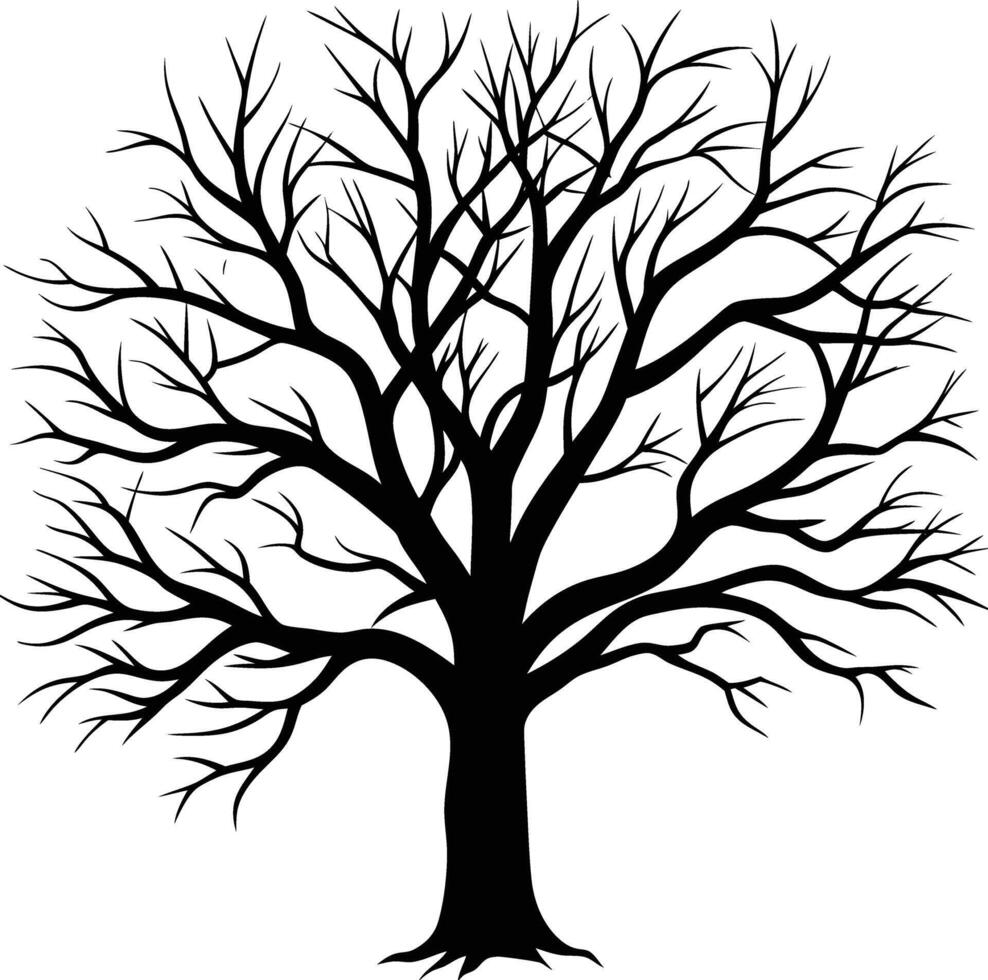 A black and white bare tree silhouette with no leaves vector