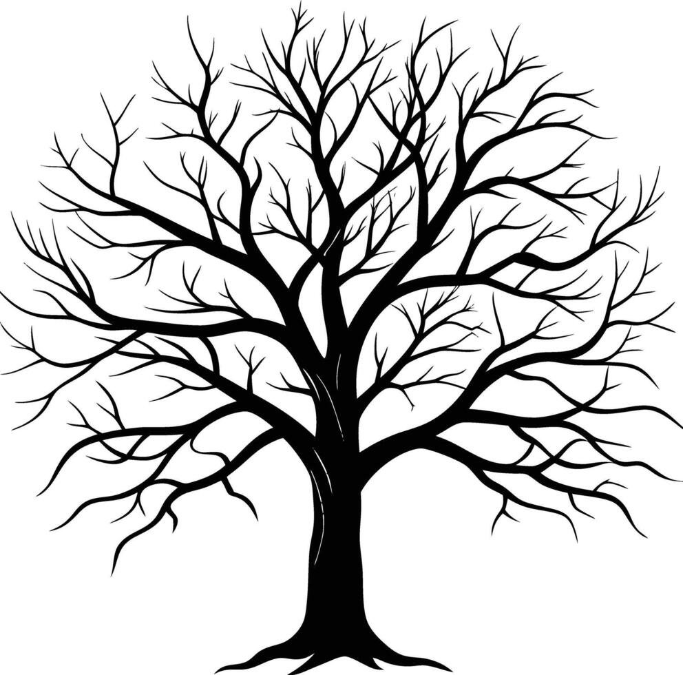 A black and white bare tree silhouette with no leaves vector