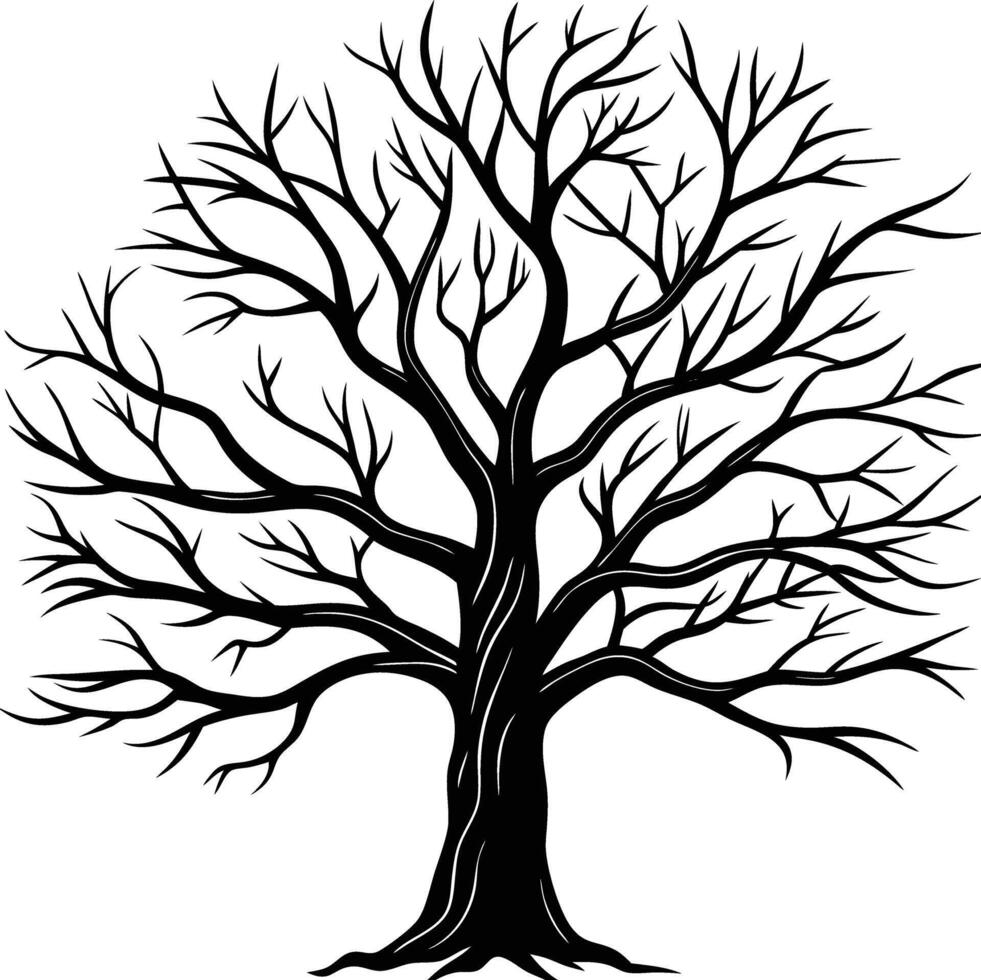 A black and white bare tree silhouette with no leaves vector