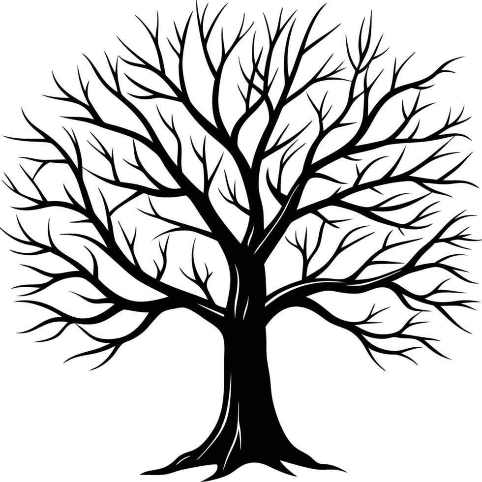 A black and white bare tree silhouette with no leaves vector