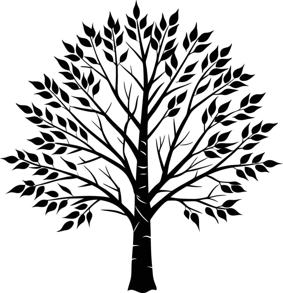 A black and white birch Tree Silhouette with leaves vector