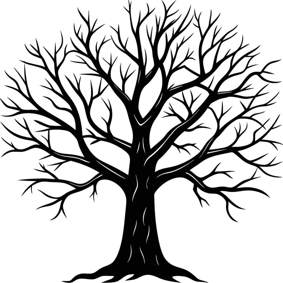 A black and white bare tree silhouette with no leaves vector