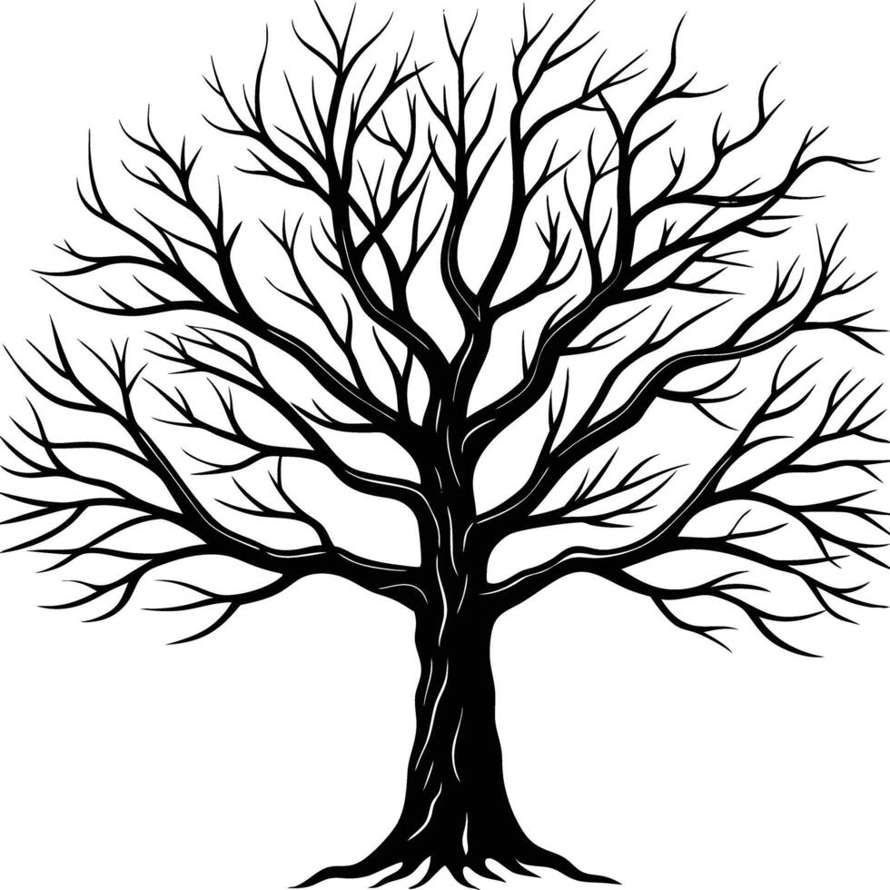 A black and white bare tree silhouette with no leaves vector