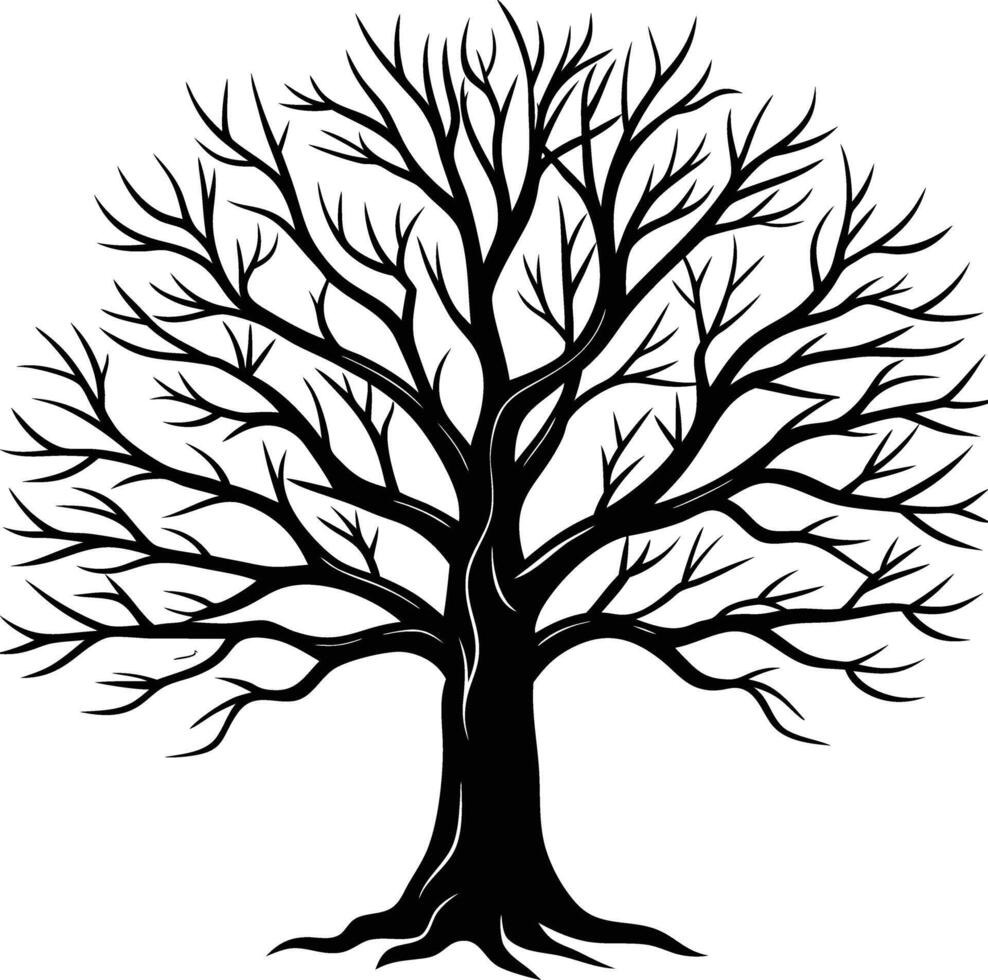 A black and white bare tree silhouette with no leaves vector