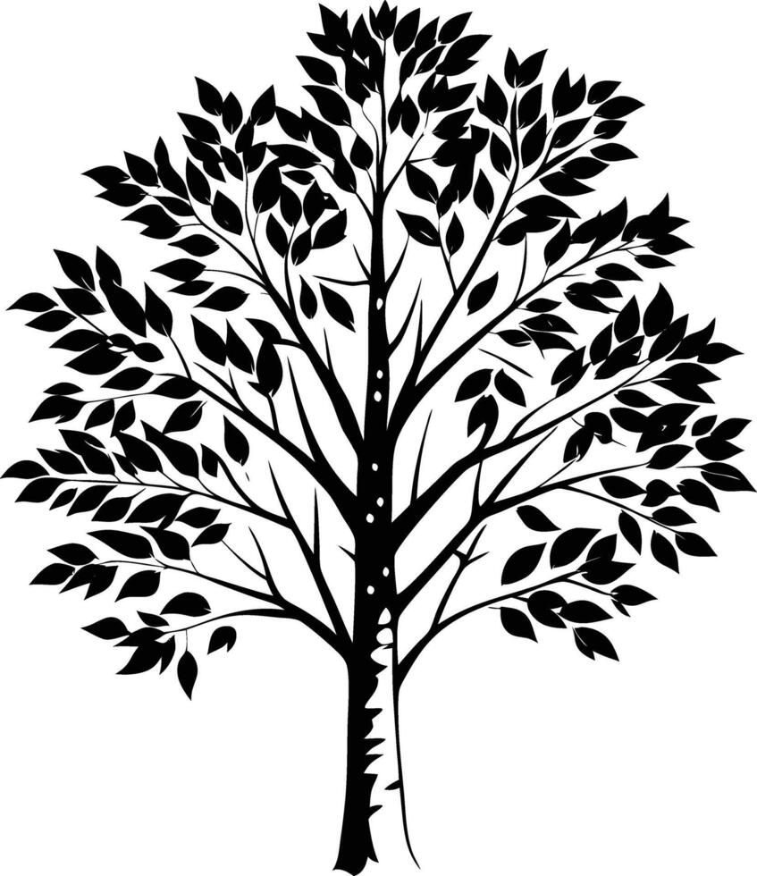 A black and white birch Tree Silhouette with leaves vector