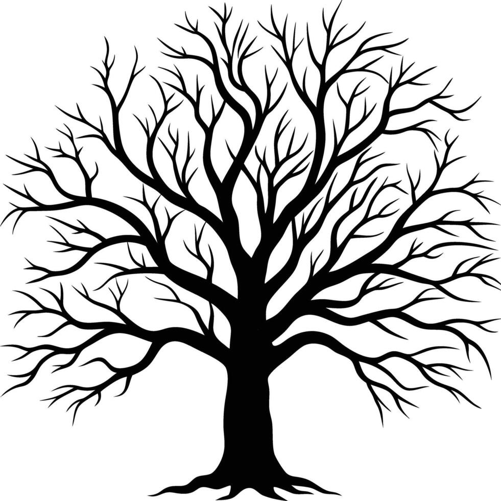 A black and white bare tree silhouette with no leaves vector