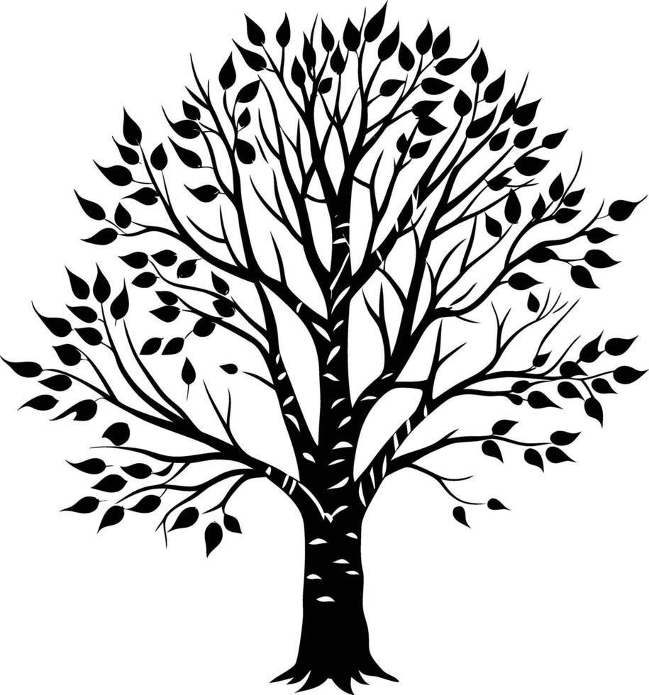 A black and white birch Tree Silhouette with leaves vector