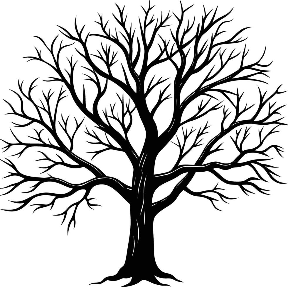 A black and white bare tree silhouette with no leaves vector
