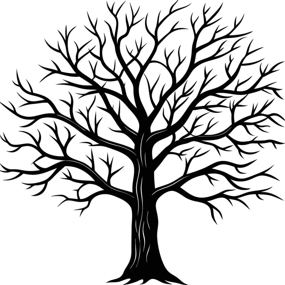 A black and white bare tree silhouette with no leaves vector