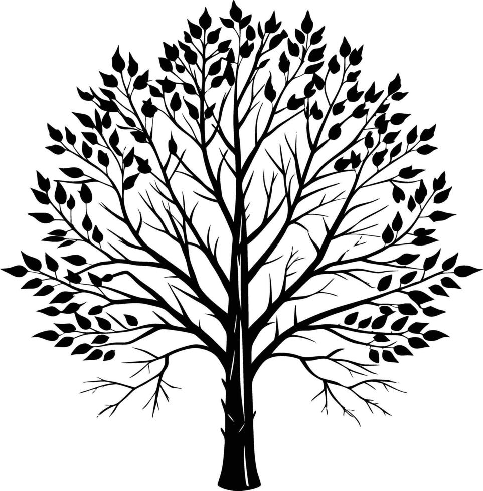 A black and white birch Tree Silhouette with leaves vector