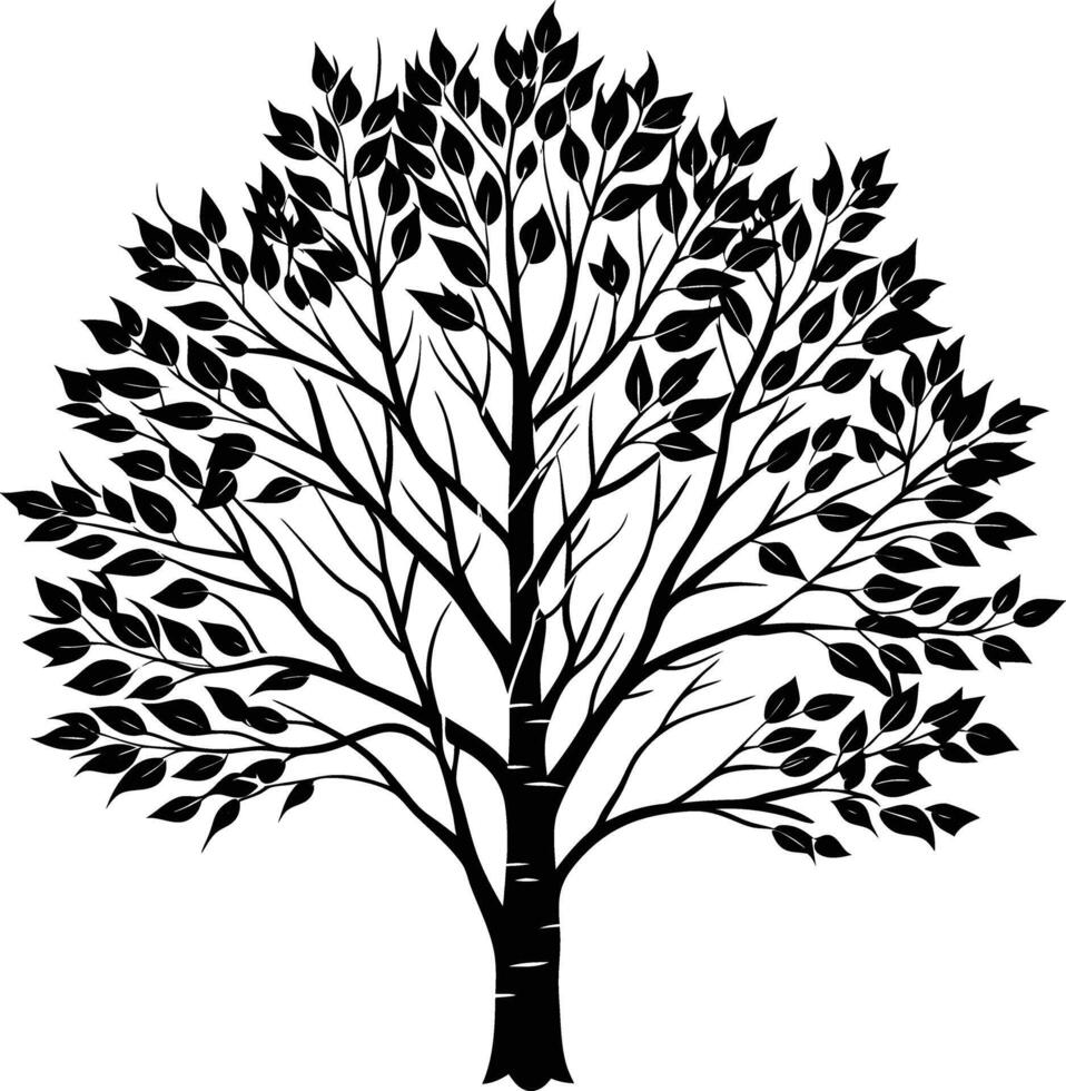 A black and white birch Tree Silhouette with leaves vector