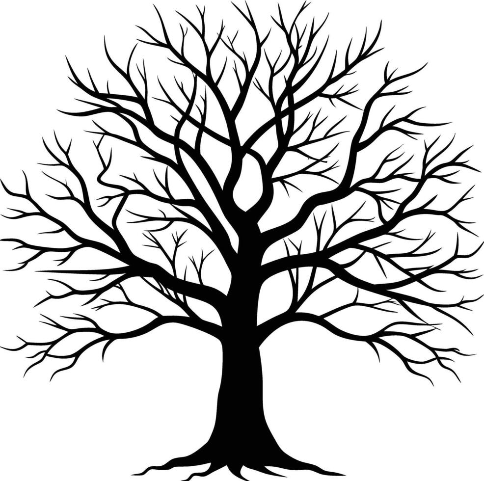 A black and white bare tree silhouette with no leaves vector