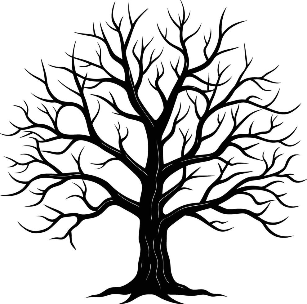 A black and white bare tree silhouette with no leaves vector