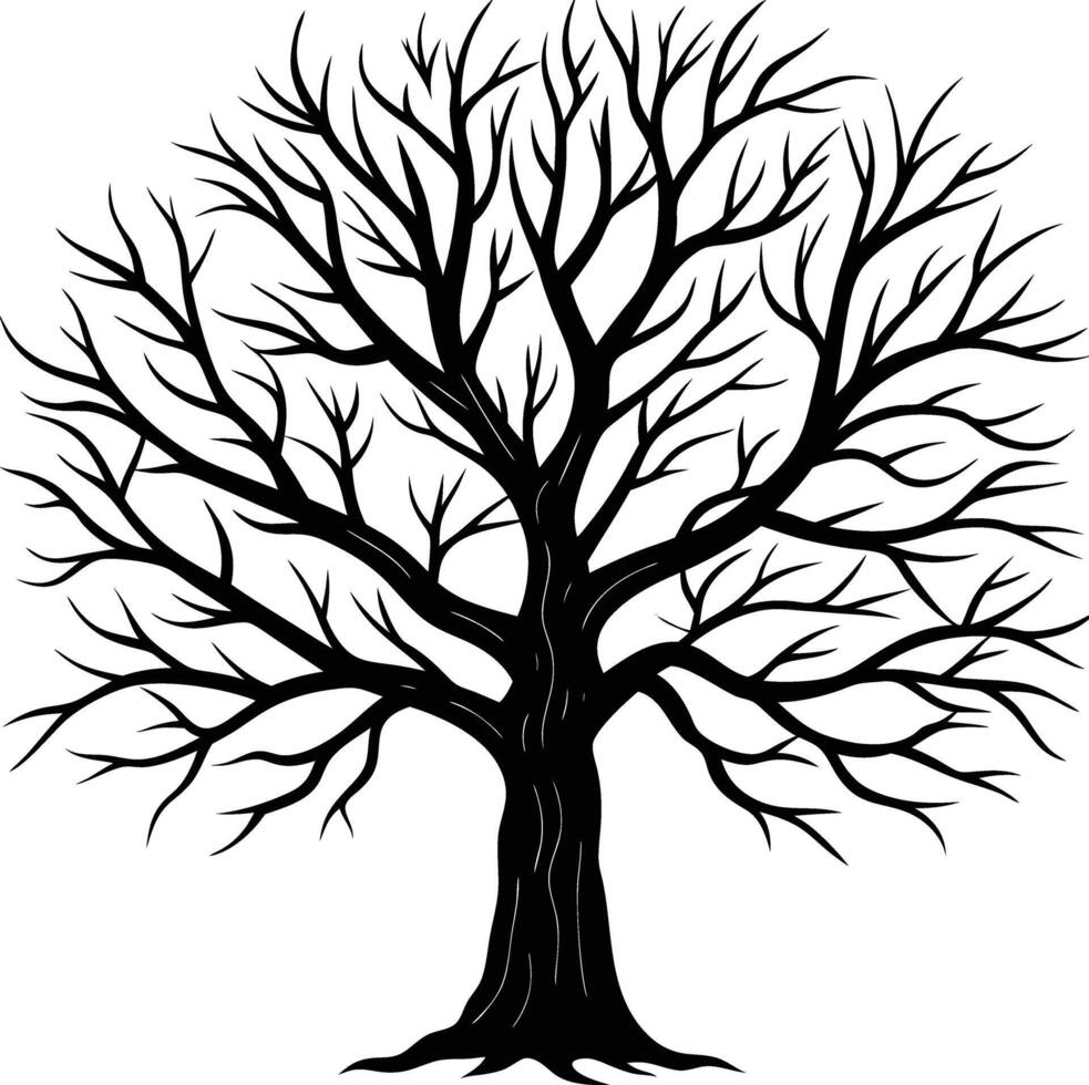 A black and white bare tree silhouette with no leaves vector