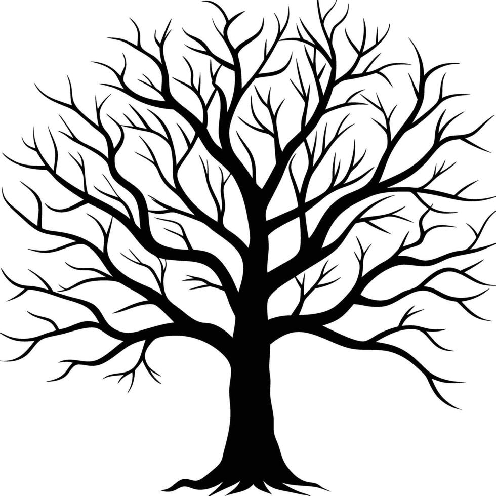 A black and white bare tree silhouette with no leaves vector